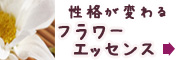 バッチフラワーレメディ