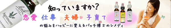 �o�b�`�t�����[�����f�B�ŐS�̃P�A