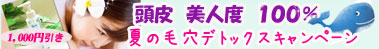 �o�b�`�t�����[�����f�B�͂�����i�t�����[�G�b�Z���X�j